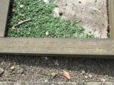 image of grave number 846979